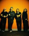chickenfoot group shot