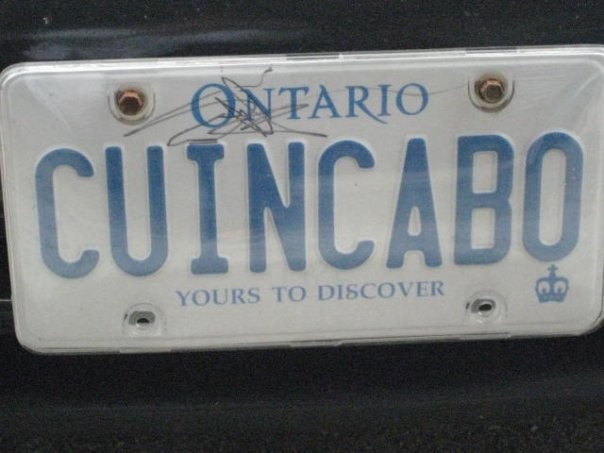 My Licence Plate