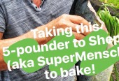 Mahi Mahi Instagram Story: Saltbaking with Shep Gordon & Questlove
