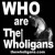 TheWholigansTributetoTheWho's picture