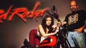 Reinhardt's Motorcycles's picture Reinhardt's Motorcycles's picture