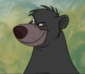 Baloo's picture